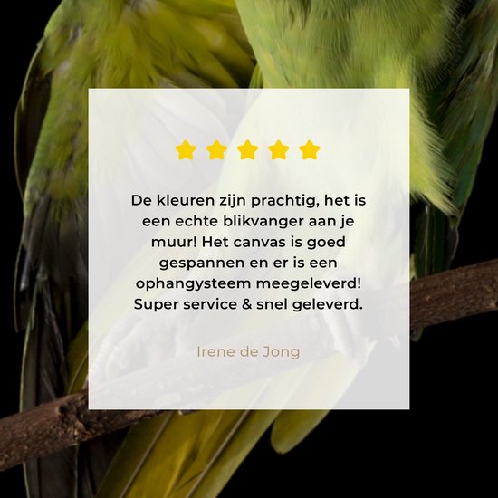 Parrot sur toile fond noir 2cm 20x30 cm - petit - impression photo sur toile peinture Décoration murale salon / chambre à coucher) / Animaux sauvages Peintures Toile