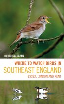 Where to Watch Birds- Where to Watch Birds in Southeast England