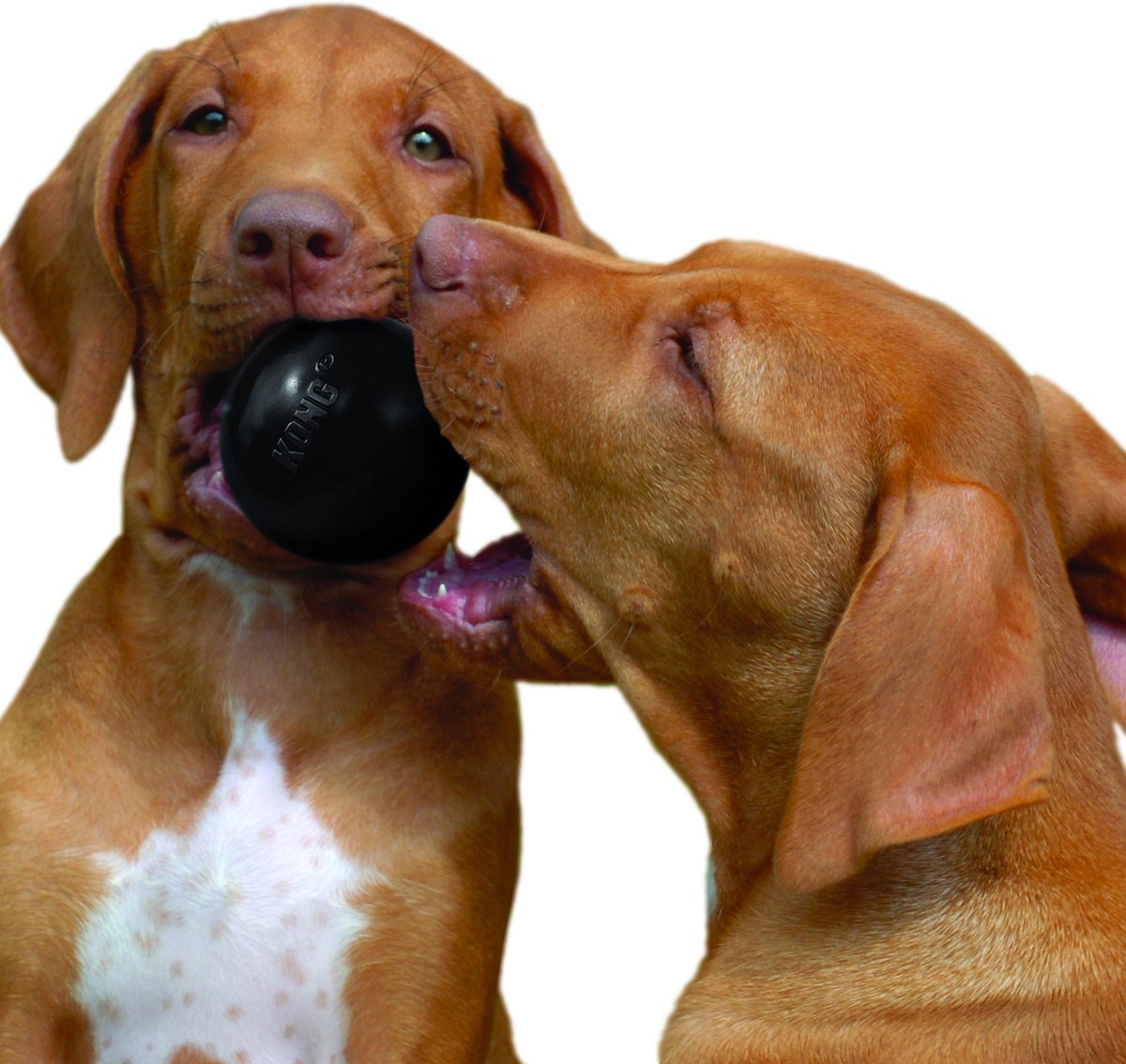 Kong Extreme Bal - Honden Speelgoed thumbnail 5