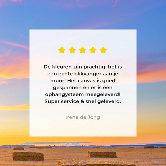 Canvas Schilderij Stro - Zon - Lucht - Landschap - 30x40 cm - Wanddecoratie