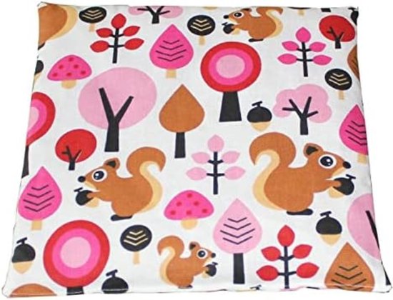 Sac de noyau de micro-ondes - Oreiller de noyau de micro-ondes - Sac de noyau Met Pit