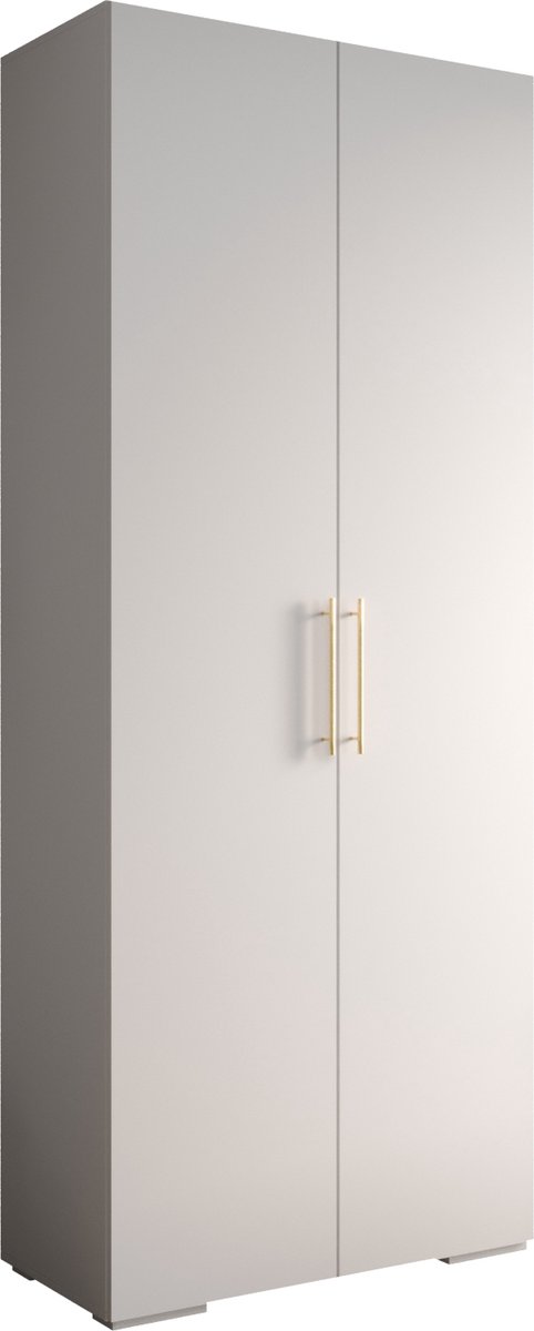 AJE Meubles B.V. Opbergkast Kledingkast met 2 draaideuren Garderobekast slaapkamerkast Kledingstang met planken | Gouden Handgrepen, elegante kledingkast, glamoureuze stijl (LxHxP): 100x237x47 cm - IVONA 3 (Wit, 100 cm)