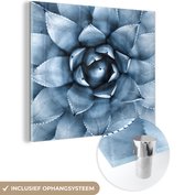 MuchoWow® Glasschilderij 90x90 cm - Schilderij acrylglas - Planten - Blauw - Natuur - Foto op glas - Schilderijen