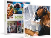Bongo Bon - VR-ESCAPE GAME VOOR 4 BIJ VR4PLAY IN ROTTERDAM - Cadeaukaart cadeau voor man of vrouw