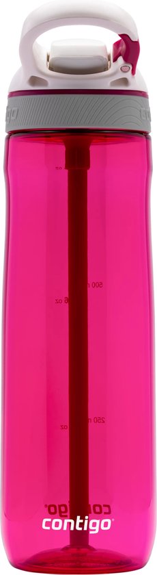 Geïsoleerde drinkfles - 1 liter - Roestvrij staal - Duurzaam - BPA-vrij