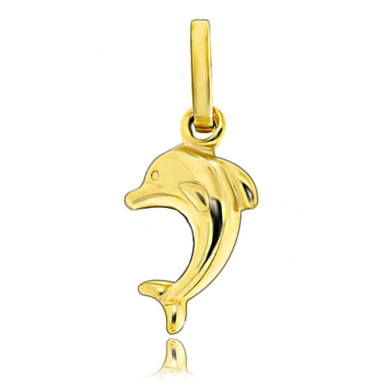 Juwelier Zwartevalk 14 karaat gouden dolfijn hanger - 14.102.023