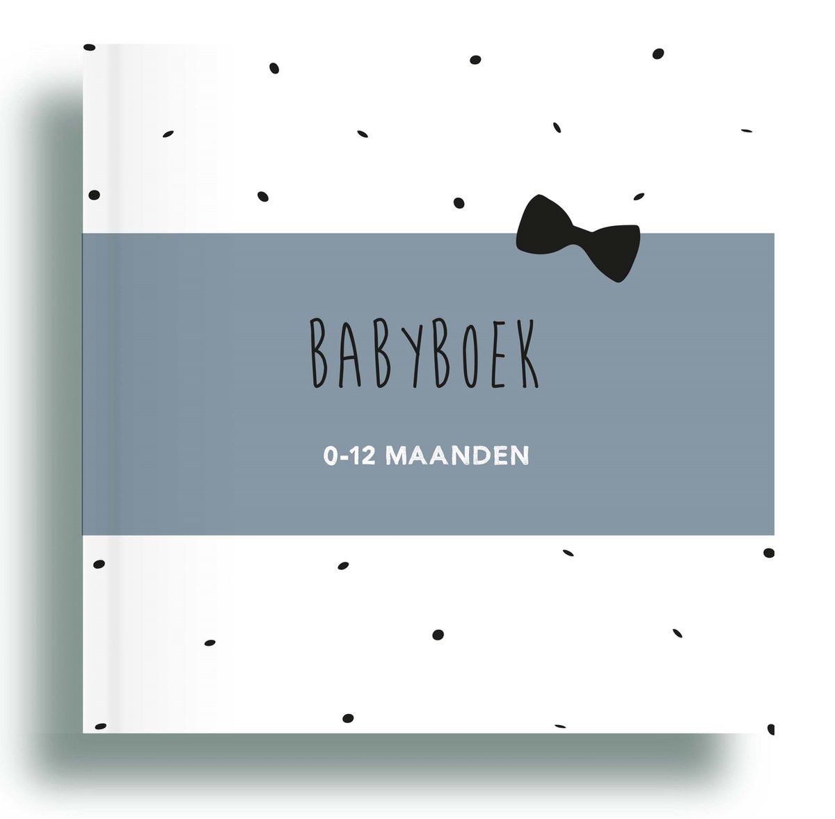 Babyboek 0-12 maanden blauw - Invulboek baby - Babydagboek - Invulboek baby's eerste jaar - Mijn eerste jaar dagboek - Dagboek 0-12 maanden - Baby invulboek eerste jaar - Baby's eerste jaar invulboek - Geboorteboek 1e jaar - Baby eerste jaar - Zebrapaardje