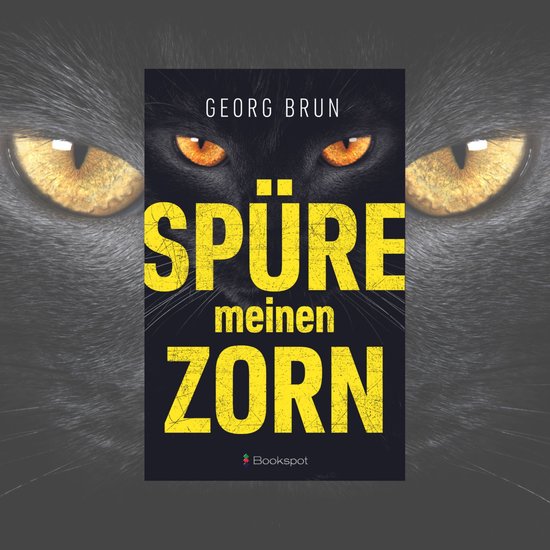 Spüre meinen Zorn - cover