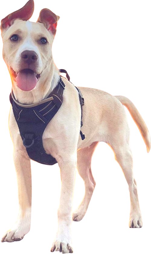 Hondentuig Middelgrote Hond – Reflecterend Canicross Hondenharnas – Anti trek tuig - Dog Harness - Gewatteerd – Maat M – Zwart - Quzi