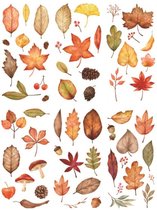 Washi Stickers Bladeren - 6 Vellen Met Stickers - US034 - Thema Bladeren, Herfst, Vruchten, Bos - Bullet Journal - Stickers Voor Volwassenen - Scrapbooking - Agenda Stickers - Deco