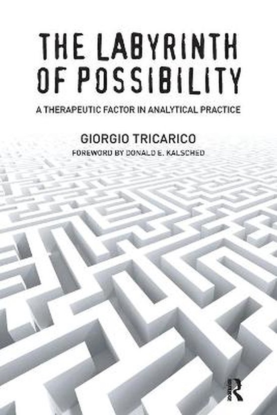 The Labyrinth of Possibility - cover