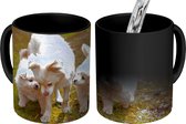 Magische Mok - Foto op Warmte Mok - Moeder hond met haar puppy's - 350 ML