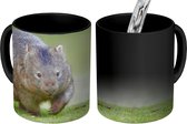 Magische Mok - Foto op Warmte Mok - Een wombat speelt op een weide - 350 ML