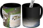 Magische Mok - Foto op Warmte Mokken - Koffiemok - Gans - Water - Steen - Magic Mok - Beker - 350 ML - Theemok