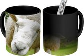 Magische Mok - Foto op Warmte Mokken - Koffiemok - Schaap - Grappig - Weiland - Kinderen - Jongens - Meisjes - Kind - Magic Mok - Beker - 350 ML - Theemok