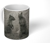 Mok - Twee eekhoorns in het gras - 350 ML - Beker