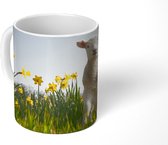Mok - Lammetje tussen de gele bloemen - 350 ML - Beker