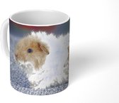 Mok - Koffiemok - Texel cavia - Mokken - 350 ML - Beker - Koffiemokken - Theemok