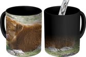 Magische Mok - Foto op Warmte Mok - Schotse Hooglander - Gras - Bruin - 350 ML
