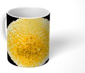 Mok - Een bolvormige Chrysanthemum zwarte achtergrond - 350 ML - Beker