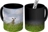 Magische Mok - Foto op Warmte Mok - Witte wolken boven het lammetje in de weide - 350 ML