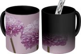Magische Mok - Foto op Warmte Mok - Twee roze chrysanten - 350 ML