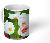Mok - Roze primula - 350 ML - Beker
