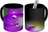 Magische Mok - Foto op Warmte Mok - Close-up van een drup op een primula - 350 ML