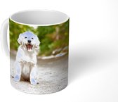 Mok - Koffiemok - Labrador Retriever puppy zit op een bospad - Mokken - 350 ML - Beker - Koffiemokken - Theemok
