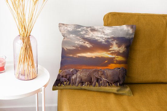 Troupeau d'éléphants au bord d'un lac