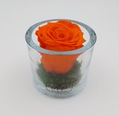Roses By Valentine - tafel roos oranje - jubileum - verjaardag - altaar - trouw&liefde - cadeau - decoratief - Valentijn cadeau voor vrouw - geschenk