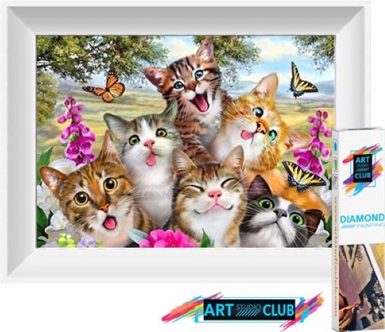 HEIBAGO 5D Diamond Painting Kat – Full Drill, Voor Beginners, Wanddecoratie, Kattenkunst, DIY-set