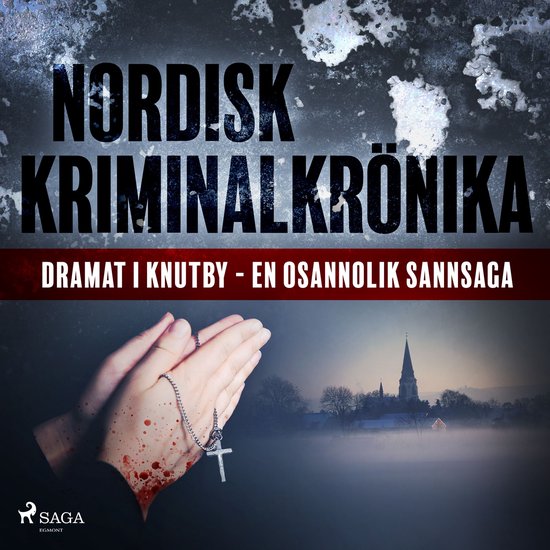 Dramat i Knutby - en osannolik sannsaga - cover