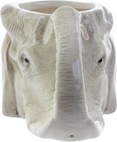 Beker hoofd olifant
