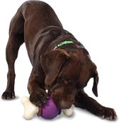 Busy Buddy-hondenspeelgoed-met navulverpakking-kauwspeelgoed hond-M