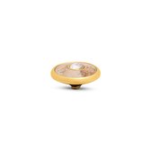 Melano Twisted - Setting - Goudkleurig - Picture Jasper - Gem cz