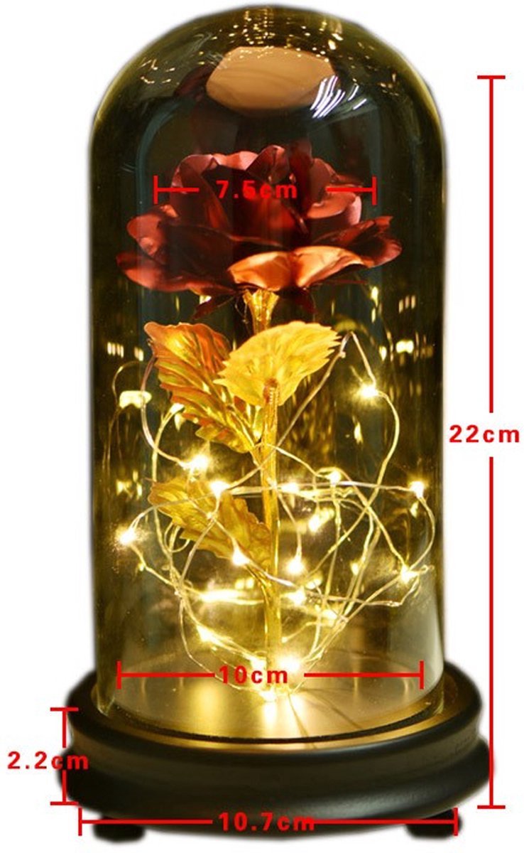 ROEXUN Eeuwige roos onder bel Belle en het beest, met ledlicht, glazen koepel en houten basis, cadeaus voor Valentijnsdag, verjaardag, Kerstmis, verjaardag, Moederdag