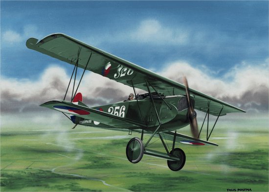 Thijs Postma - TP Aviation Art - Poster - Fokker D.VII Boven Nederlands Landschap - 50x70cm