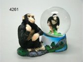 Boule à Neige Chimpanzé