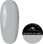 Korneliya Liquid Gel Secrets of Grey