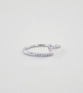 Ring spijker glitter - zilver