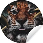 Papier peint Cercle - Tigre - Feuille - Animaux - 80x80 cm