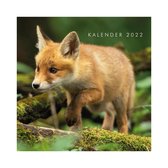Hobbit jaarkalender natuur 2022 - vierkant formaat - maand - natuur
