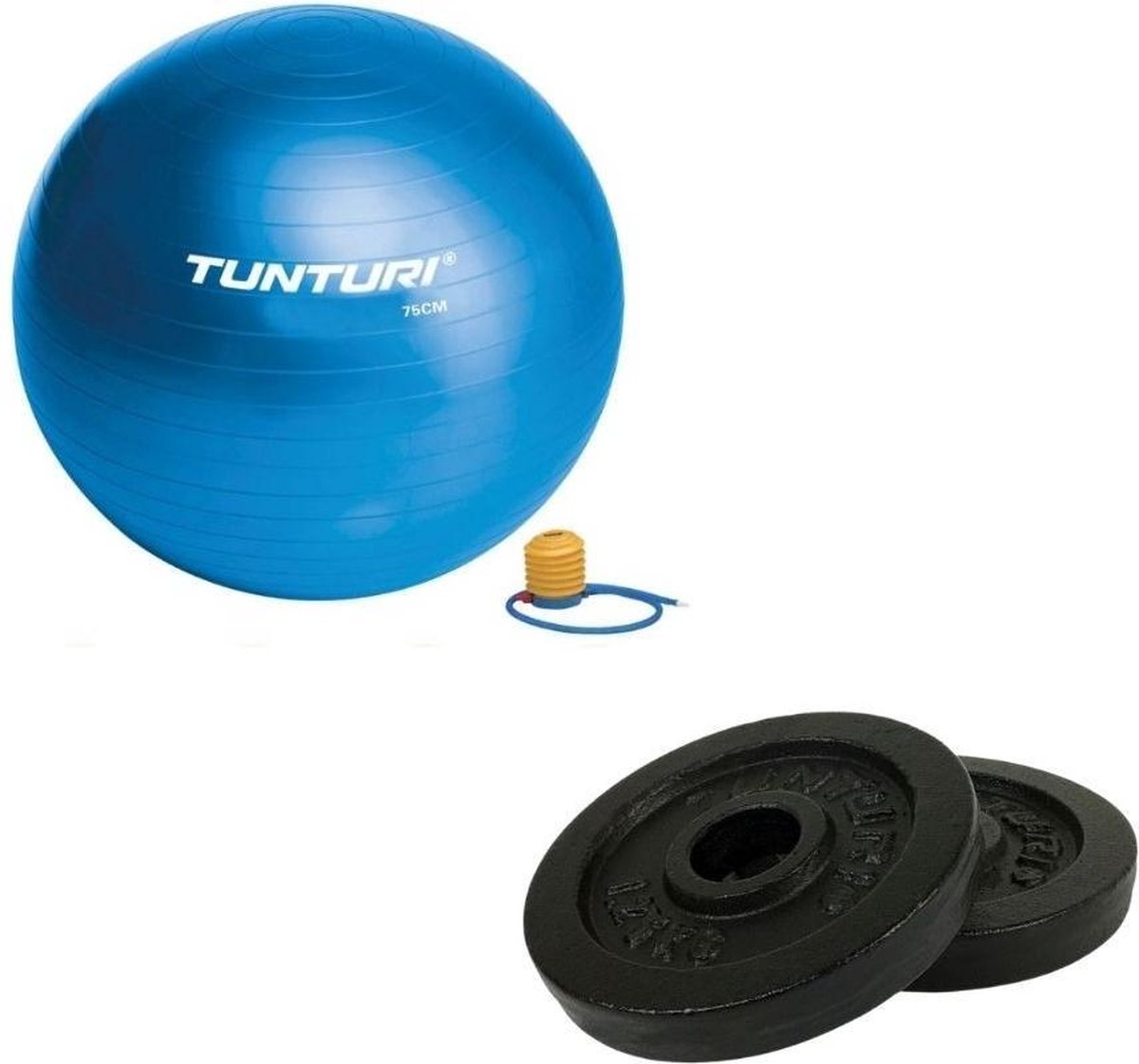Tunturi - Fitness Set - Halterschijven 2 x 1,25 kg - Gymball Blauw 75 cm