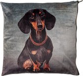 Clayre & Eef Sierkussen 45*45 cm Grijs Synthetisch Vierkant Hond Kussenhoes met Kussenvulling