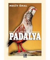 Padalya