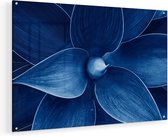 Artaza Glasschilderij - Blauwe Agave Plant - Bloem - 75x50 - Plexiglas Schilderij - Foto op Glas