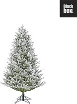 Black Box Trees - Frasier kerstboom groen frosted TIPS 1693 - h185xd124cm - Kerstbomen