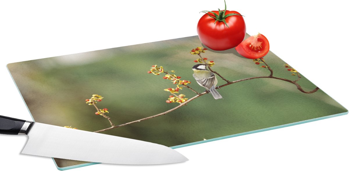 Glazen Snijplank - 39x28 - Koolmees op een kleurrijke tak - Snijplanken Glas