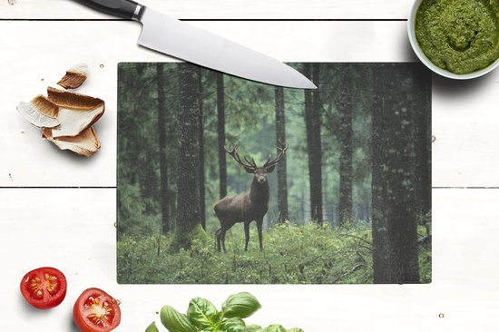 Planche à découper en Verres - 28x20 - Cerf - Forêt - Nature - Planches à découper en Glas